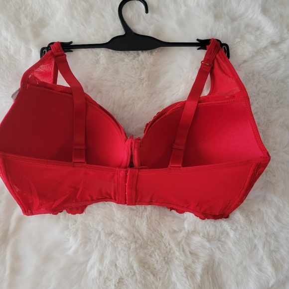 💋DAISY FUENTES BRAND NEW HIGH APEX LACE BRA SIZE 40C - Picture 5 of 11